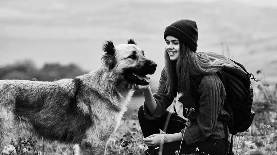 VERILOX® - Modern advanced ceramic materials for veterinary spine replacement.